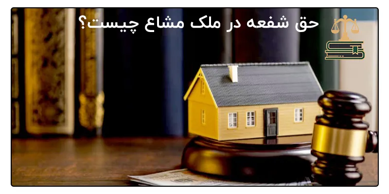 حق شفعه در ملک مشاع چیست؟